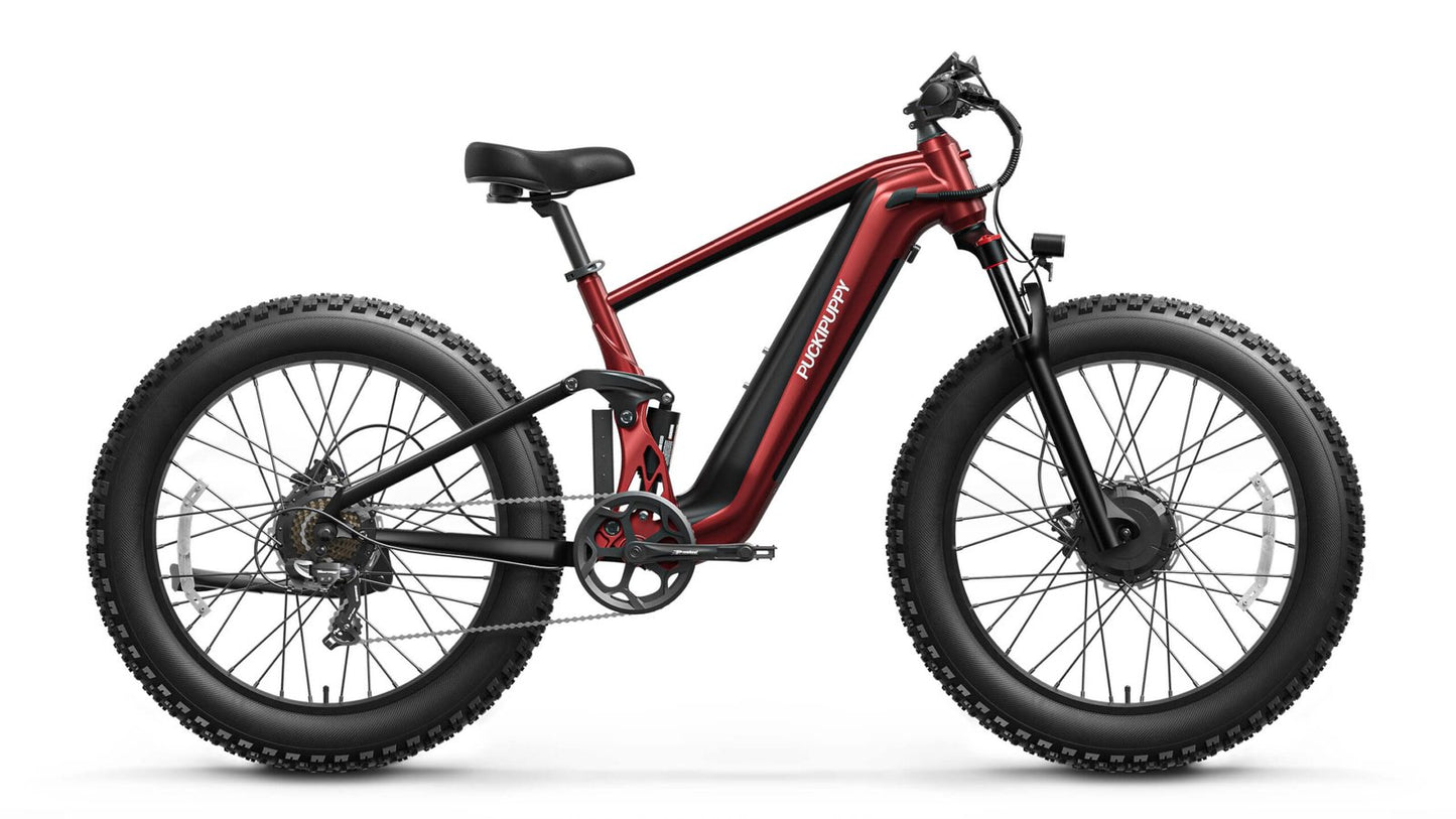 PUCKIPUPPY GoldenR Dual-Motor E-Bike